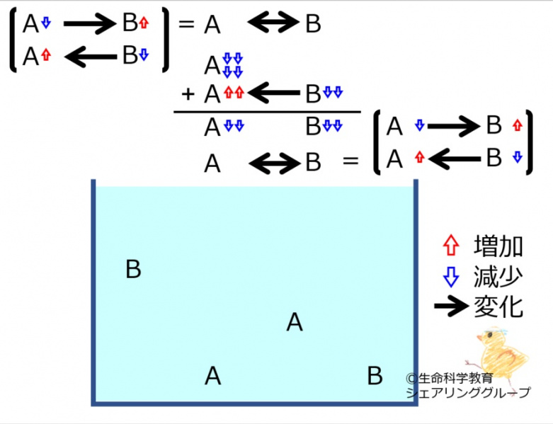 ファイル:ChemicalEquilibriumChangesByDecInMolA-4.jpg