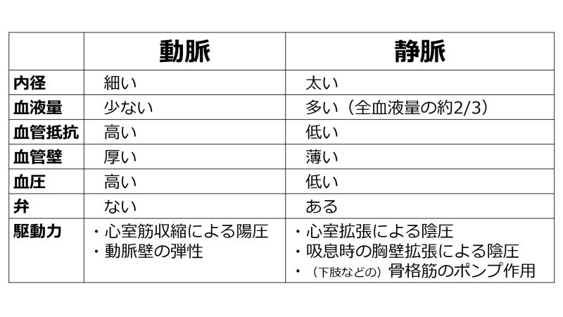 ファイル:ArteryVeinComparison-basic-Jpn.jpg