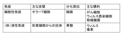 /wiki/images/thumb/c/c7/LymphocytesBcellTcallTable-Jpn.jpg/500px-LymphocytesBcellTcallTable-Jpn.jpg