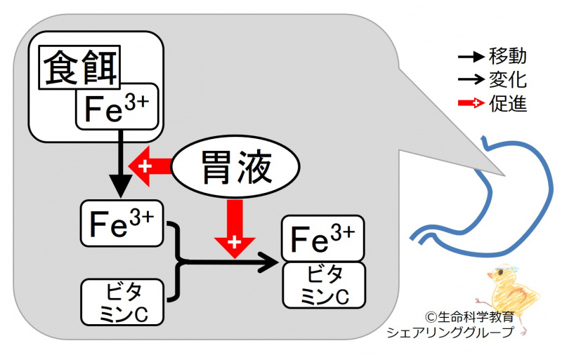 ファイル:03396.jpg