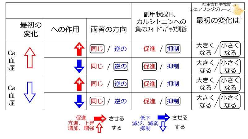 ファイル:ParathyroidCTnegFB-BasicTable-Jpn-wb.jpg