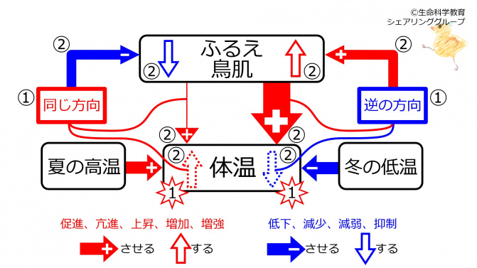 ShiveringControlBasicSummary-Jpn.jpg