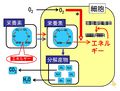 2013年2月27日 (水) 10:19時点における版のサムネイル