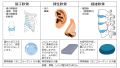 2025年2月20日 (木) 11:49時点における版のサムネイル