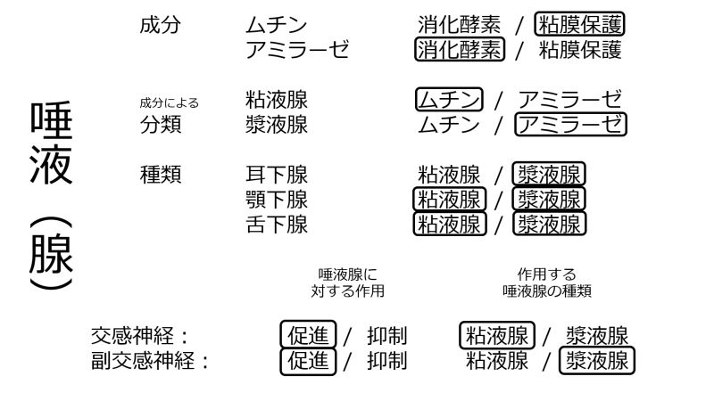 ファイル:Saliva-basic-Jpn.jpg
