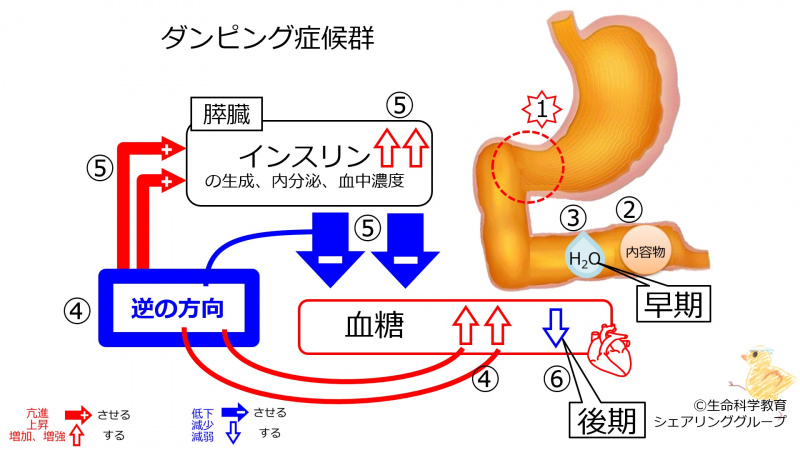 ファイル:03901.jpg