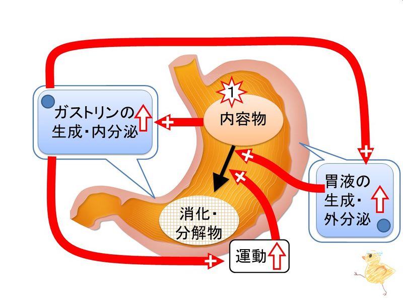 ファイル:03440.jpg