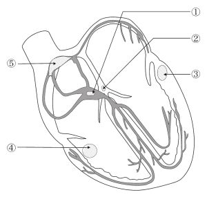 /wiki/images/thumb/d/df/100_PM82.jpg/300px-100_PM82.jpg
