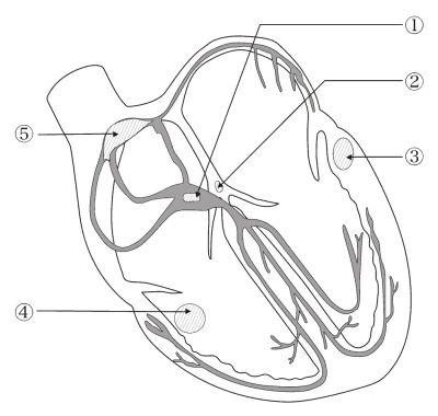 /wiki/images/thumb/d/df/100_PM82.jpg/400px-100_PM82.jpg