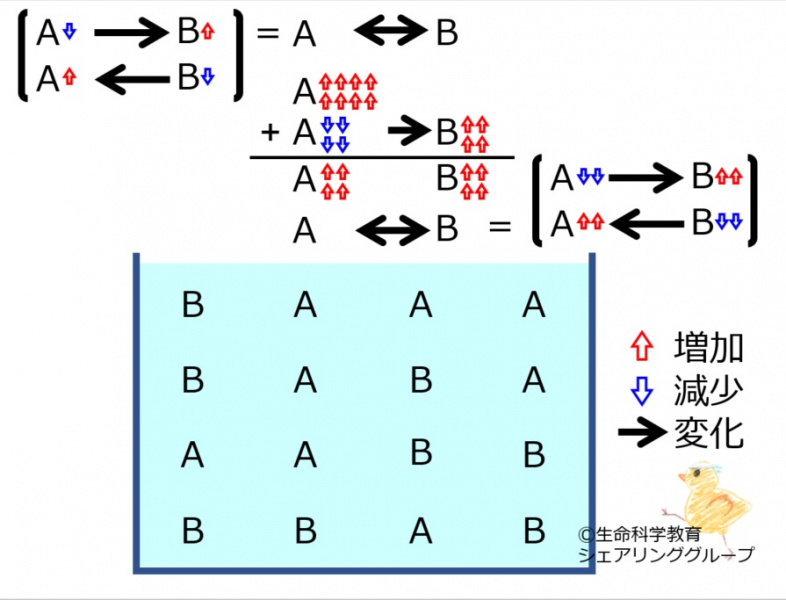 ファイル:ChemicalEquilibriumChangesByIncInMolA-4.jpg