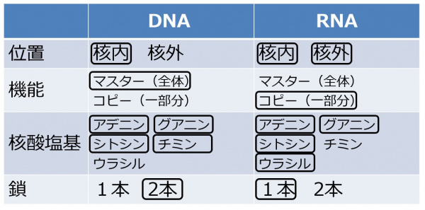 DNARNAtable-1.jpg