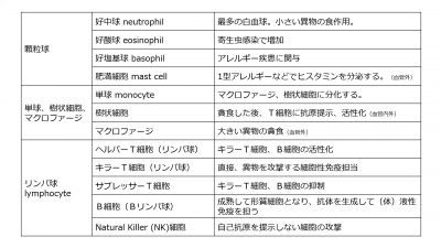 /wiki/images/thumb/e/e4/WBCclassificationTable-Jpn.jpg/400px-WBCclassificationTable-Jpn.jpg