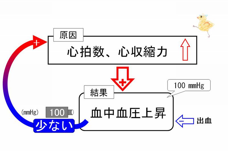 ファイル:02216.jpg