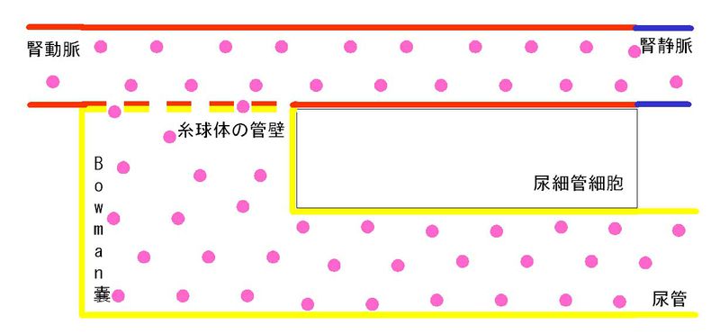ファイル:00333.jpg