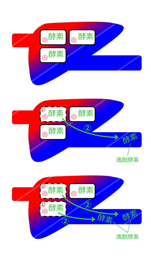 DeviantEnzymeBasic-Jpn.jpg