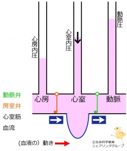 /wiki/images/thumb/e/ec/%E5%BC%9B%E7%B7%A9%E6%9C%9F_%E3%82%AF%E3%82%A4%E3%82%BA.jpg/250px-%E5%BC%9B%E7%B7%A9%E6%9C%9F_%E3%82%AF%E3%82%A4%E3%82%BA.jpg