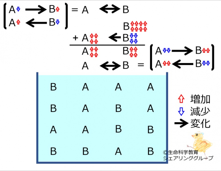 ファイル:ChemicalEquilibriumChangesByIncInMolB-4.jpg