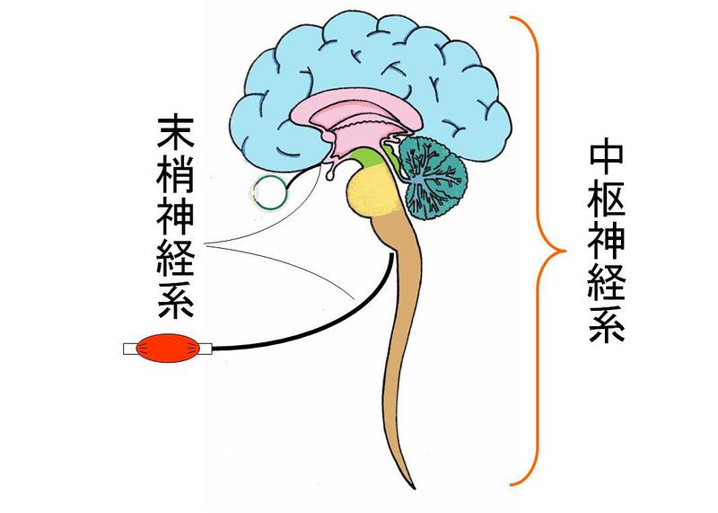 ファイル:01388.jpg
