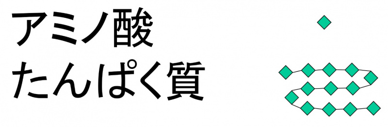 ファイル:01464.jpg