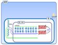 2014年4月3日 (木) 10:57時点における版のサムネイル