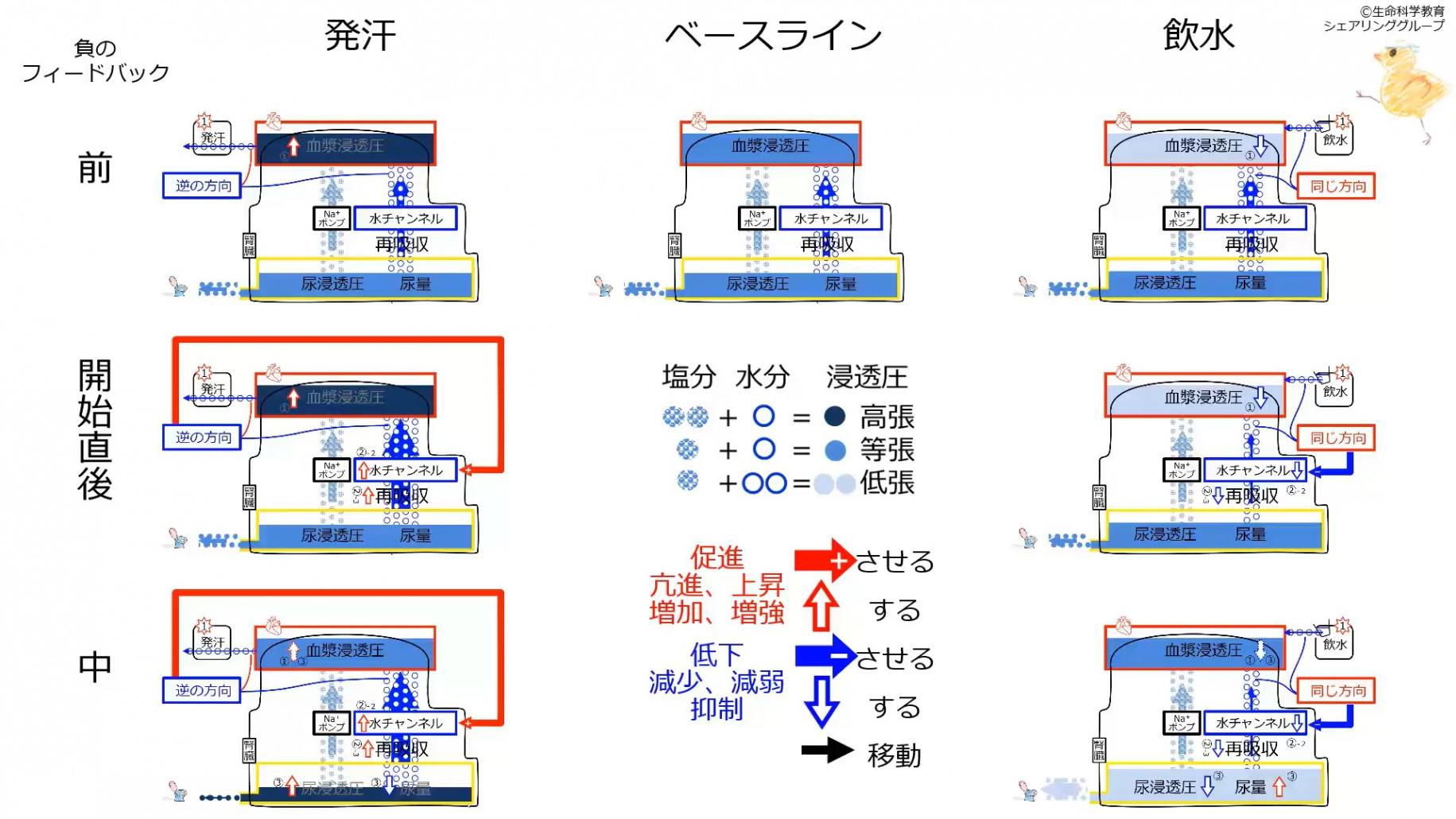 ChannelControlSummary.jpg