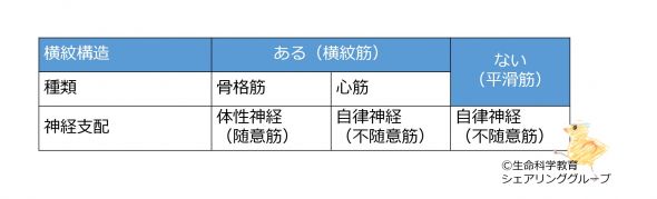 /wiki/images/thumb/f/f5/Muscles-intro-table.jpg/590px-Muscles-intro-table.jpg