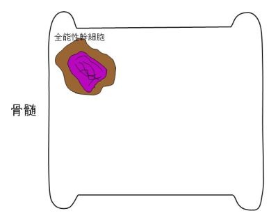 /wiki/images/thumb/f/f7/00378.jpg/400px-00378.jpg