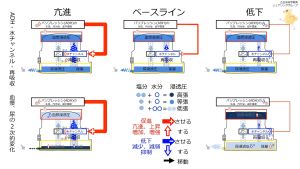 /wiki/images/thumb/f/f7/ADHeffectSummary.jpg/300px-ADHeffectSummary.jpg