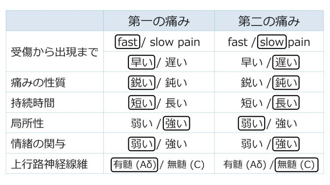 PainSummaryBasic-Jpn.jpg