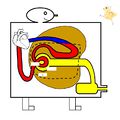 2011年4月8日 (金) 00:00時点における版のサムネイル