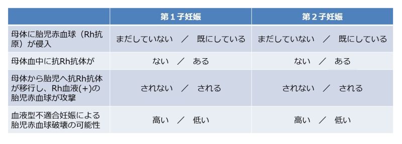 ファイル:04661-wb.jpg