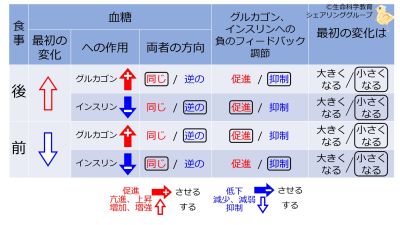 InsulinGlucagonNegFB-BasicTable-Jpn.jpg