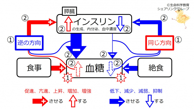 Insulin-FBsummary.jpg