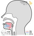 2025年2月18日 (火) 15:51時点における版のサムネイル